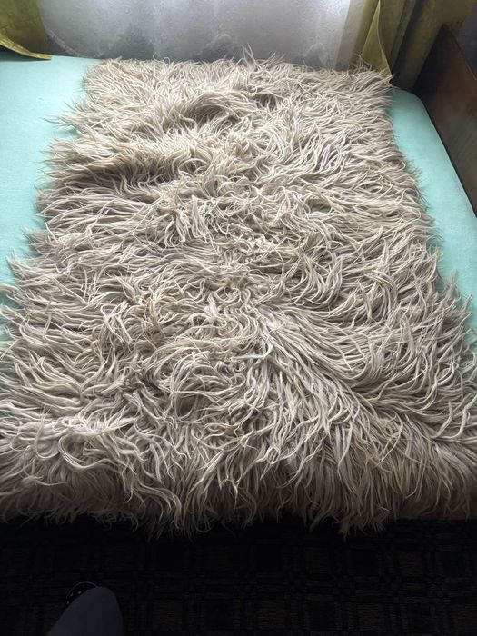 Китеник дългокосмест