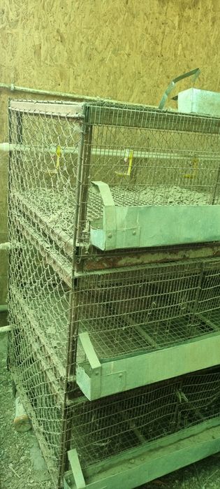 Клетки для домашней птицы, бройлеров