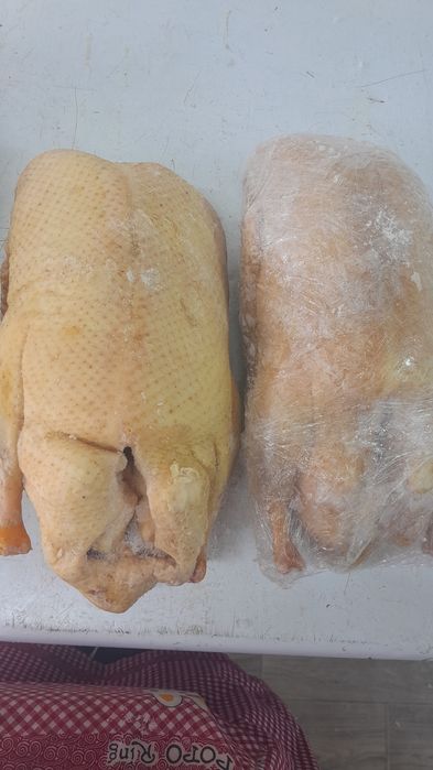 Утки,гуси в продаже