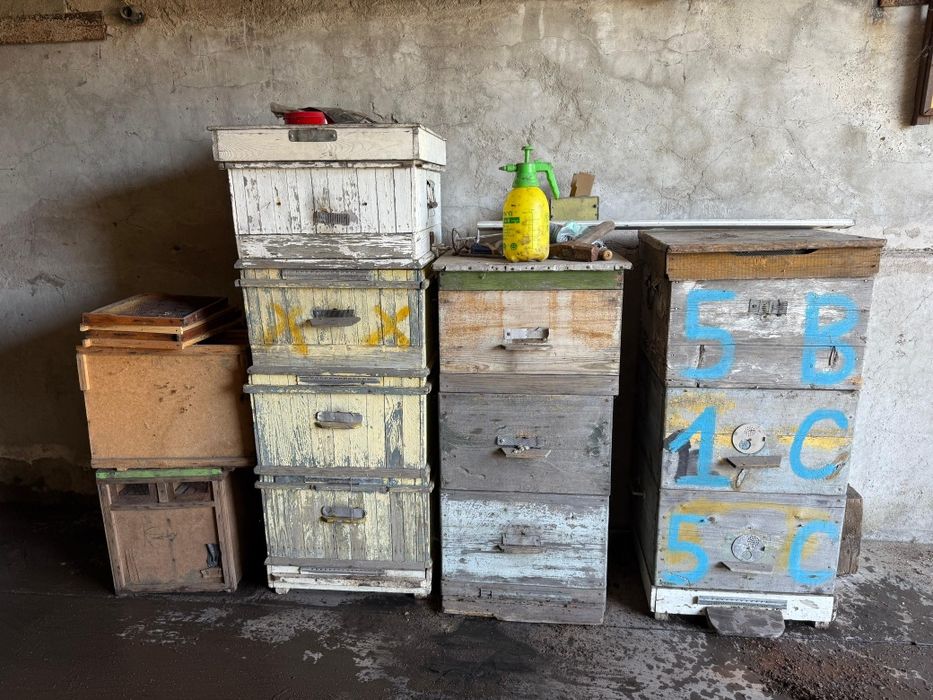 Пасека, прицеп, медогонка