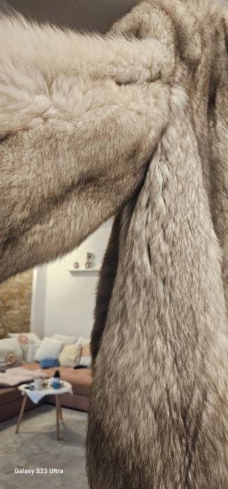 Haina de blana vulpe argintie