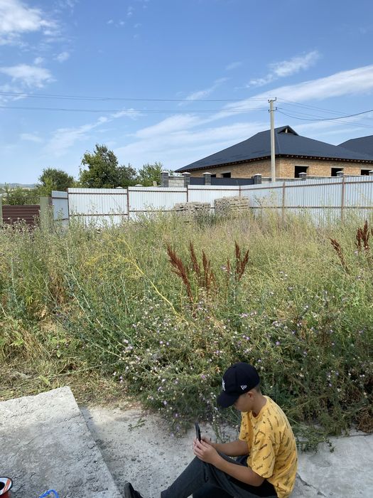 Покос травы Stihl Газон