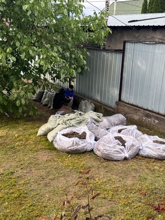 Вывоз мусора, доставка по городу Алматы