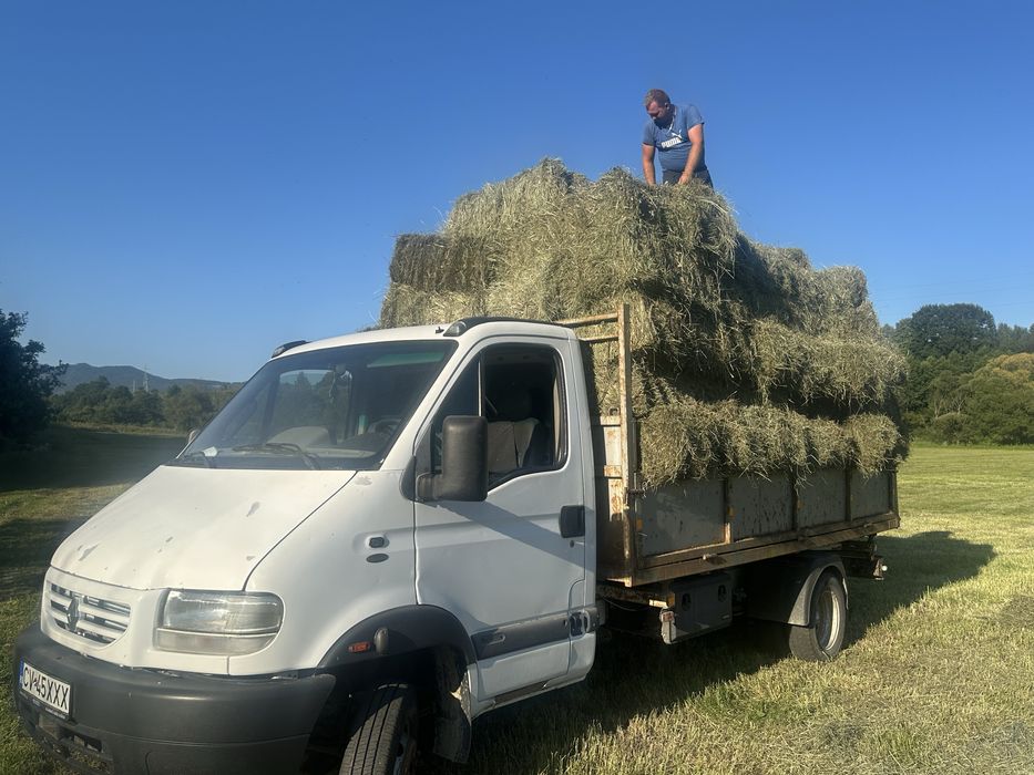 Lucerna Infoliat/baloti de fan/balot rotund/baloti mici