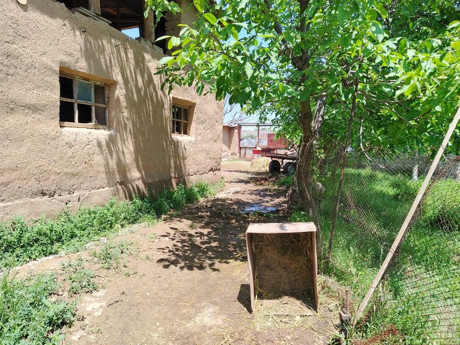 Қибрай тумани Нуробод маҳалласи Мулкчилик кўчасида 8 сотих ер сотилади