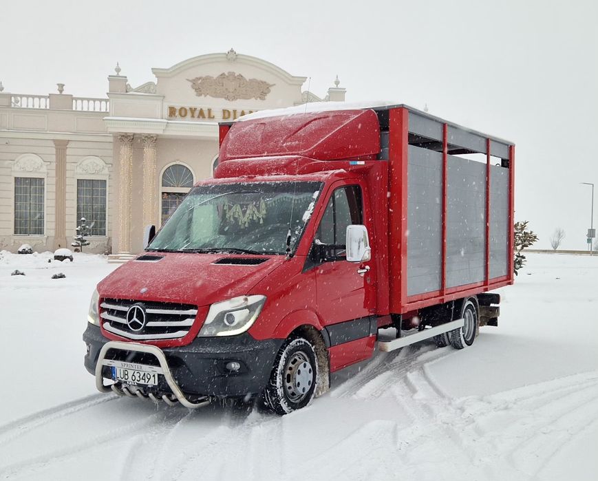 Mercedes sprinter 519 transport animale 518 516 iveco daily 35c17 35c1