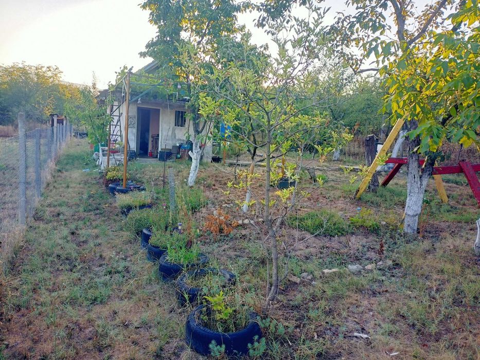 Вила, дворно място