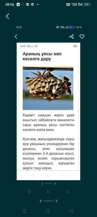 Араның ұясы көп кеселге дару