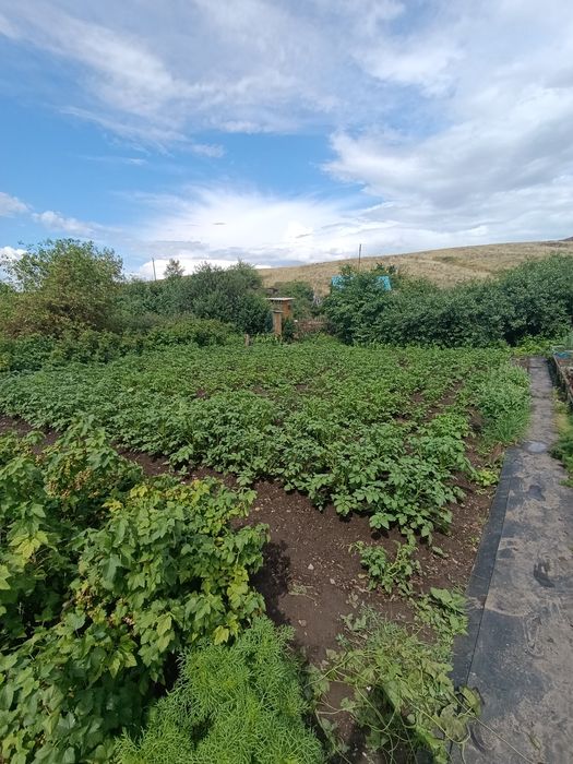 Продам отличную дачу