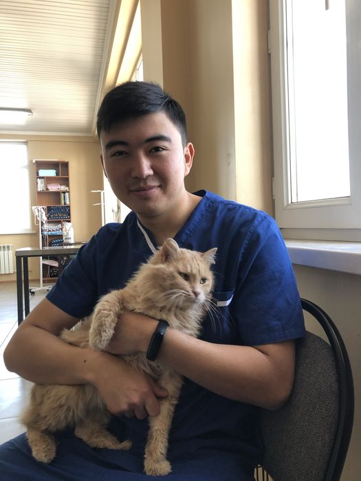 Ветеринарный вызов на дом 24/7 Эвтаназия,Утилизация,Кремация