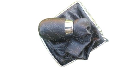 Nuca si manson ford focus 2 cu 5 viteze