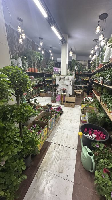 сдам помещение в аренду