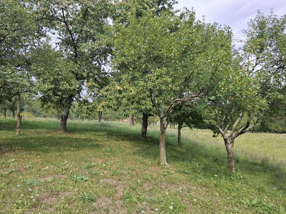 Teren intravilan Fetindia jud Sălaj