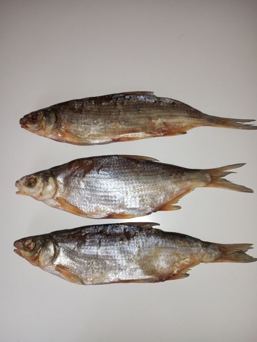 Сушеные Ребец майлы