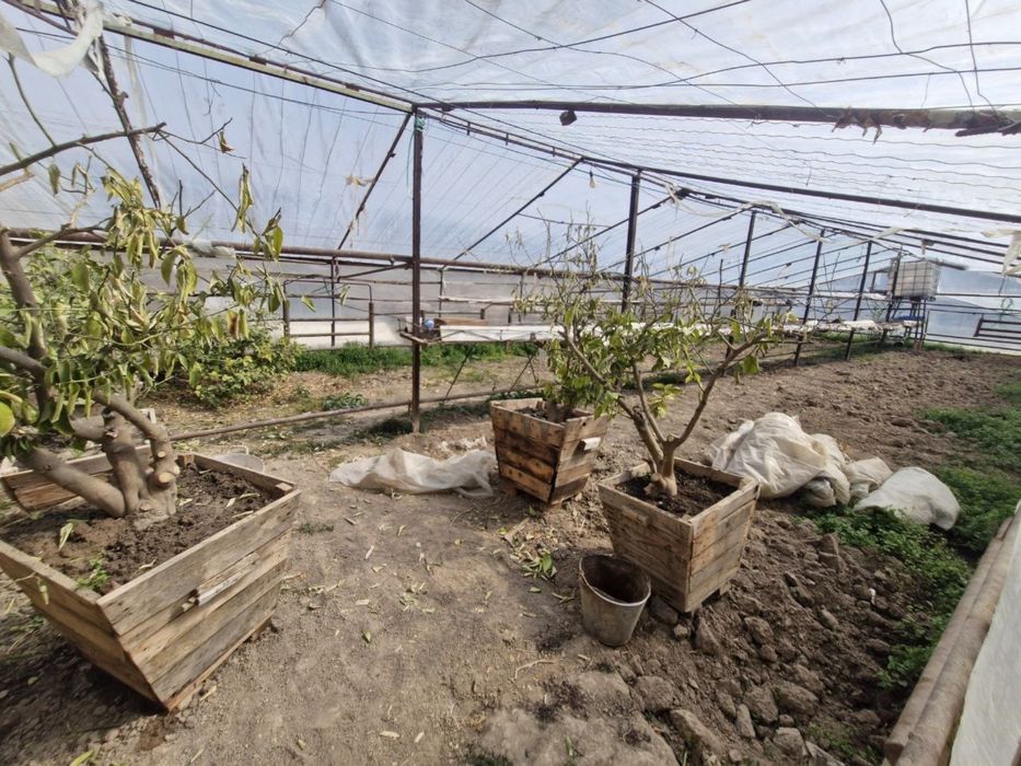 teplitsa parnik 3 sotix