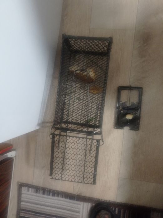 Продам мышеловка  крысолов