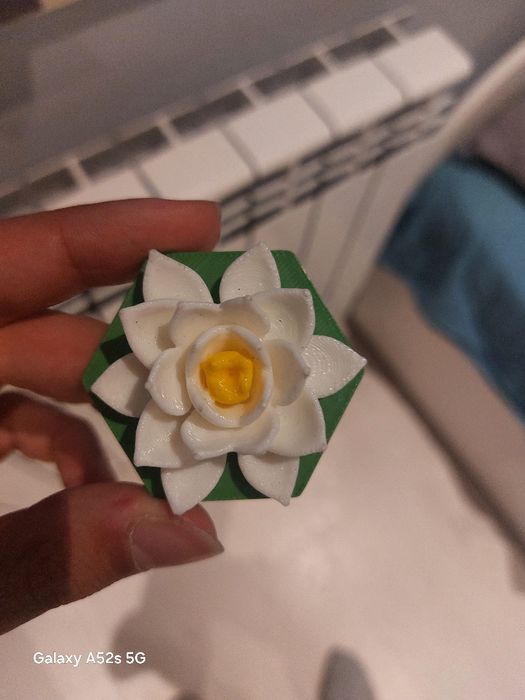 Grafcoin и labcoin-и