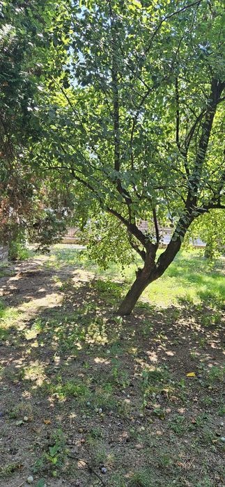 Casă de vănzare in Reghin