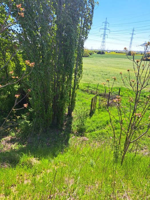 Vand teren in zona Manolache langa Bucuresti