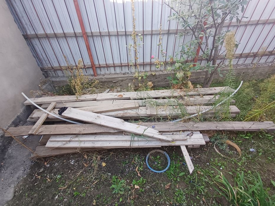 Сртойкадан қалған ағаштар барлығы  бірге сатылады