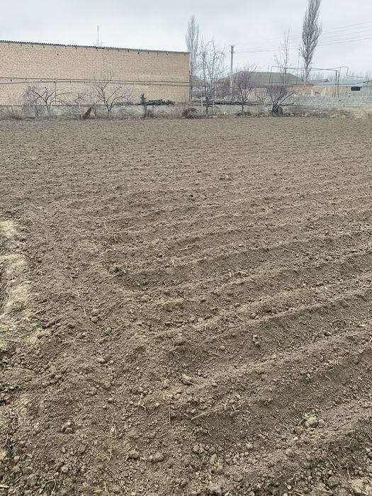 Toshkent viloyati , Bekobod tumani , Zafar shaxarchasida yer sotiladi