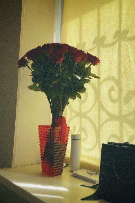 красные розы свежие