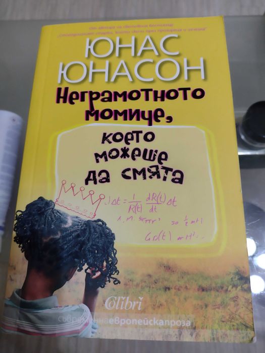 Неграмотното момиче, което можеше да смята - Юнас Юнасон