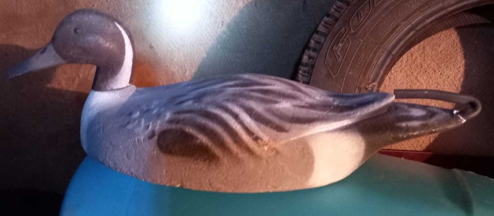 хобби, отдых, спорт