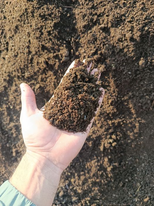 Qoplangan elakdan oʻtgan gong