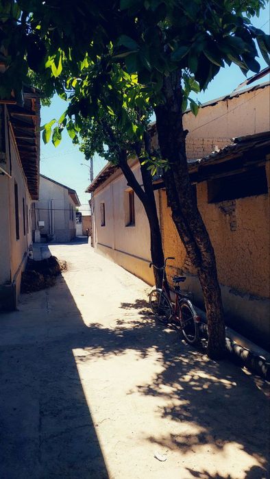 Yashnobod tumani