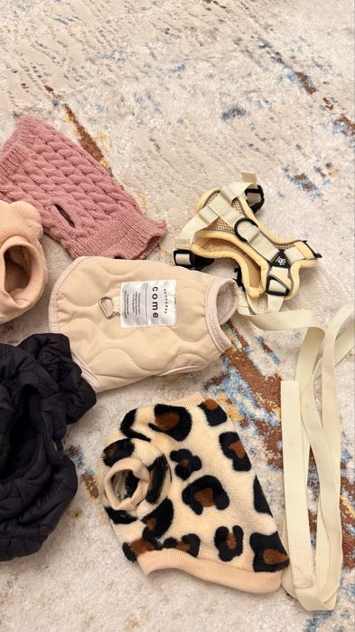 Продам вещи одежду на щенка