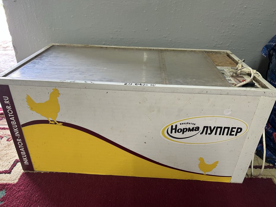 Инкубатор норма луппер