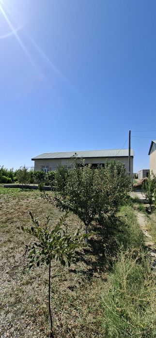 Romitan tumanida joylashgan 15 sotixli hovli tezda sotiladi.