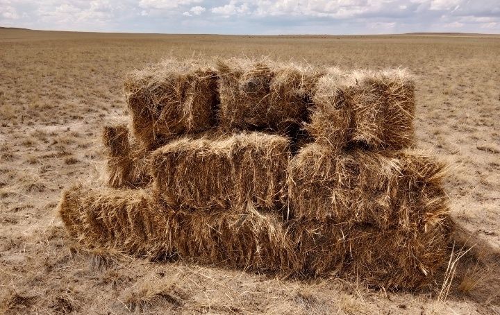 Продается сено свежого укоса