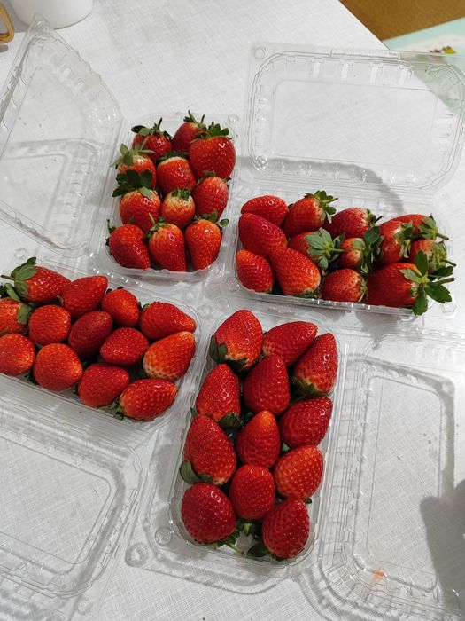 Клубника в шоколаде Уральск