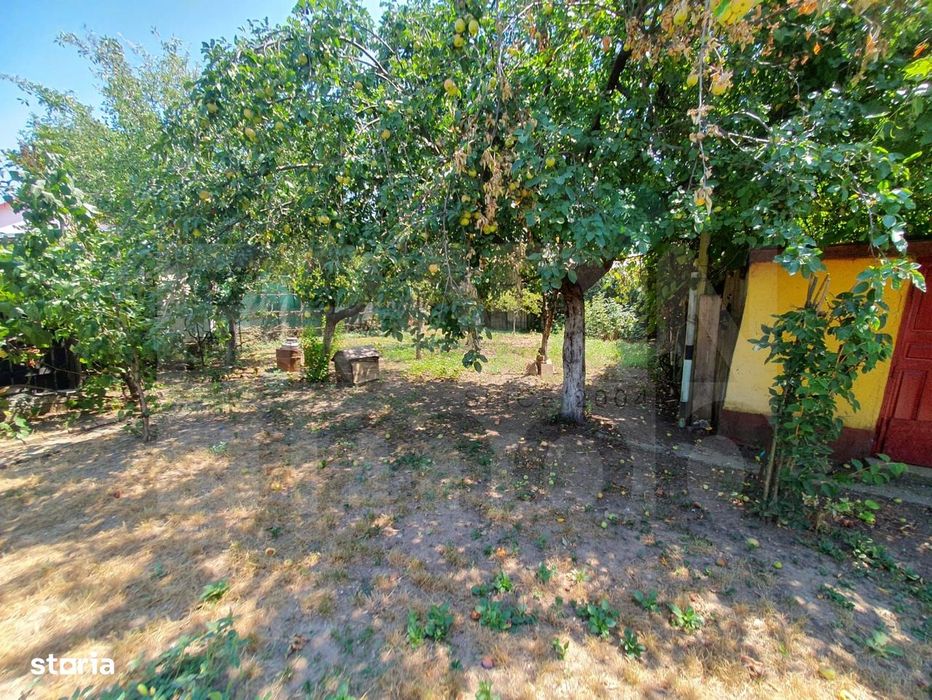 Voluntari – Teren Intravilan 861 mp | Deschidere 20m | Dragonul Roșu