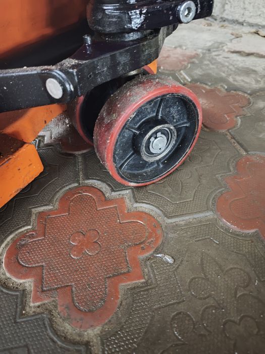 Рохля 2 тонник оранжевая