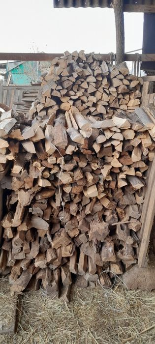 Дрова отын карагаш сухой