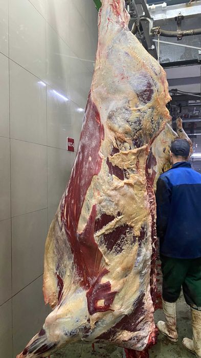 Мясо говядина тушами