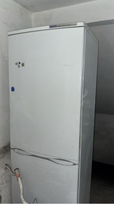 Отдам даром даром даром