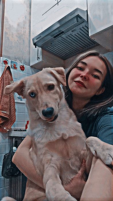 Отдам собаку в добрые руки