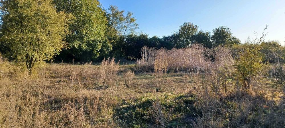 Продава се Парцел в Варна, Трошево - 3600 кв.м за 0 €/кв.м - Снимка #3