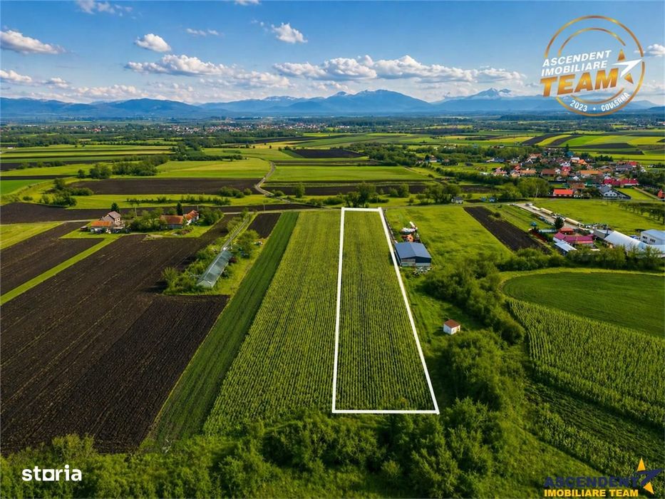 Film! Teren de 5.800 mp, Dobolii de Jos, Covasna