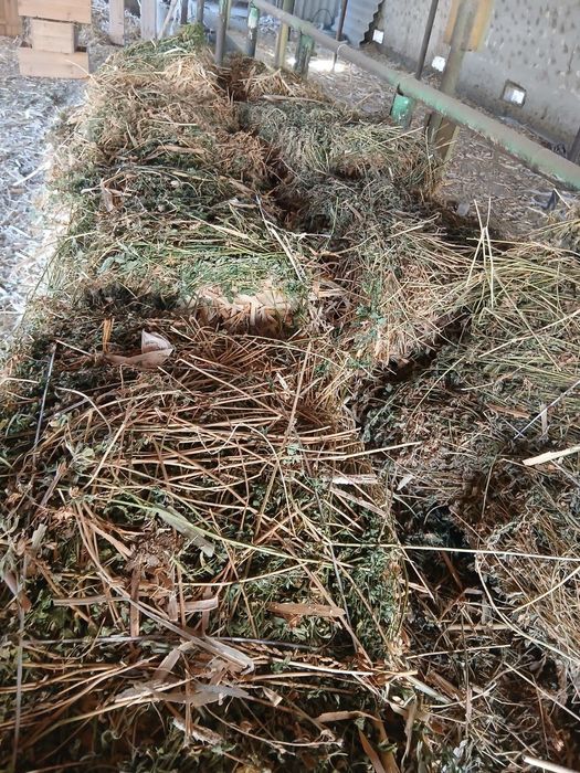 Маккайи беда ловия аралаш анкилбенс прес сотилади