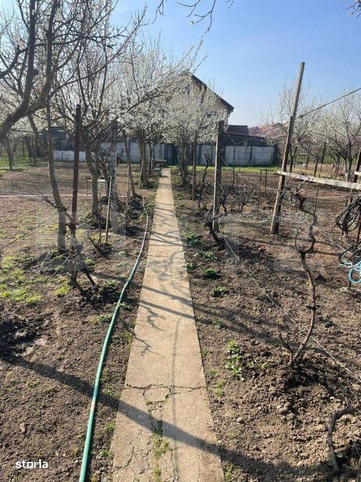 Teren de vanzare 1850 mp front de 21, Sanandrei!