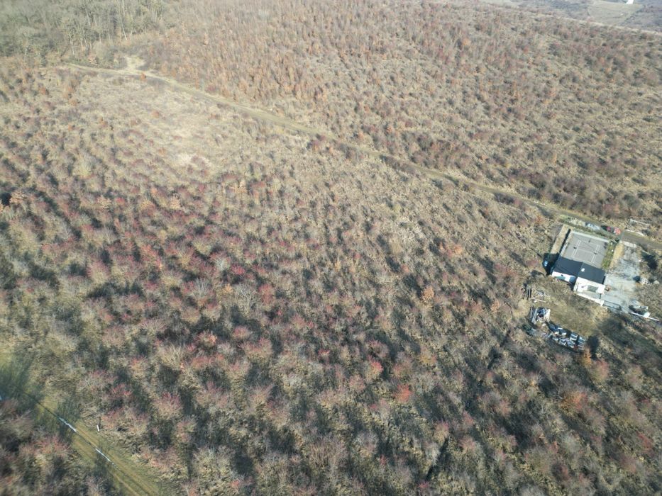 Teren de vanzare, Livezeni extravilan