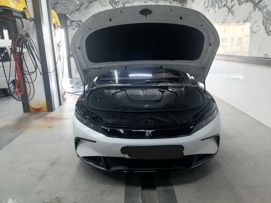 Byd Han БЙД Хан 2022