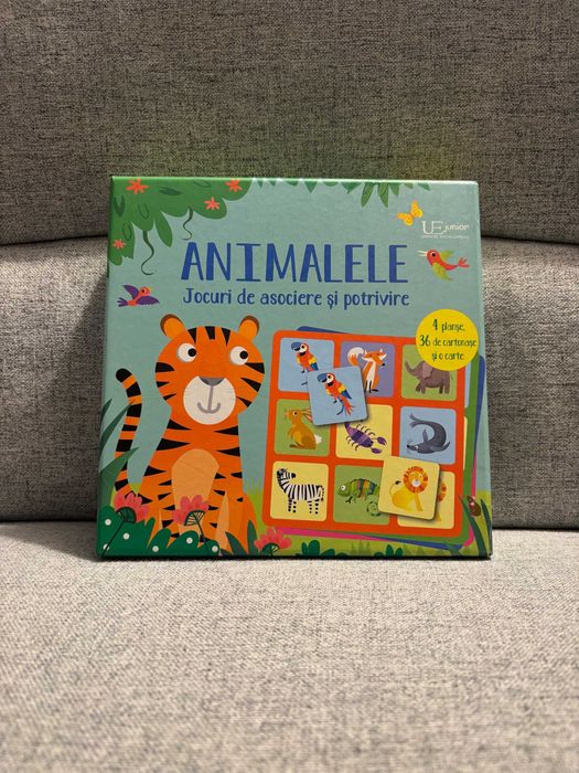 Set de 2 jocuri educative Usborne in limba romana