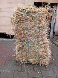 Vînd baloți lucernă Brasov