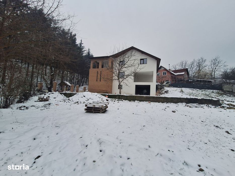 Casă deosebită Bujoreni